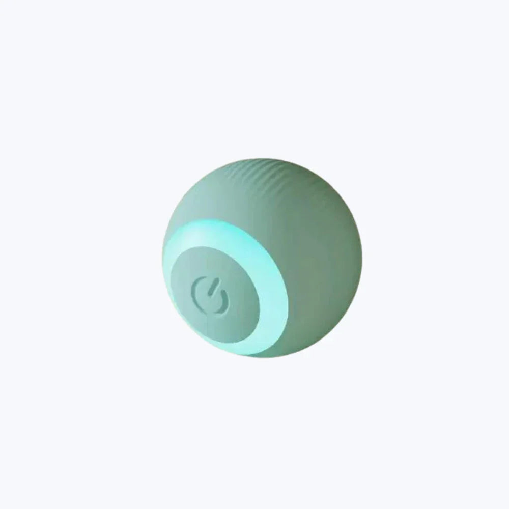Balle interactive chat