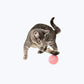 Balle interactive chat