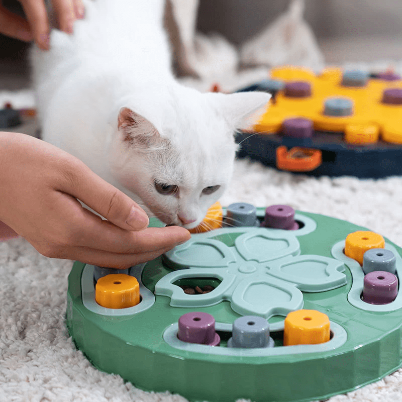 Puzzle anti-glouton interactif pour chien et chat