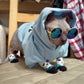 Chaussettes pour chien - Panda