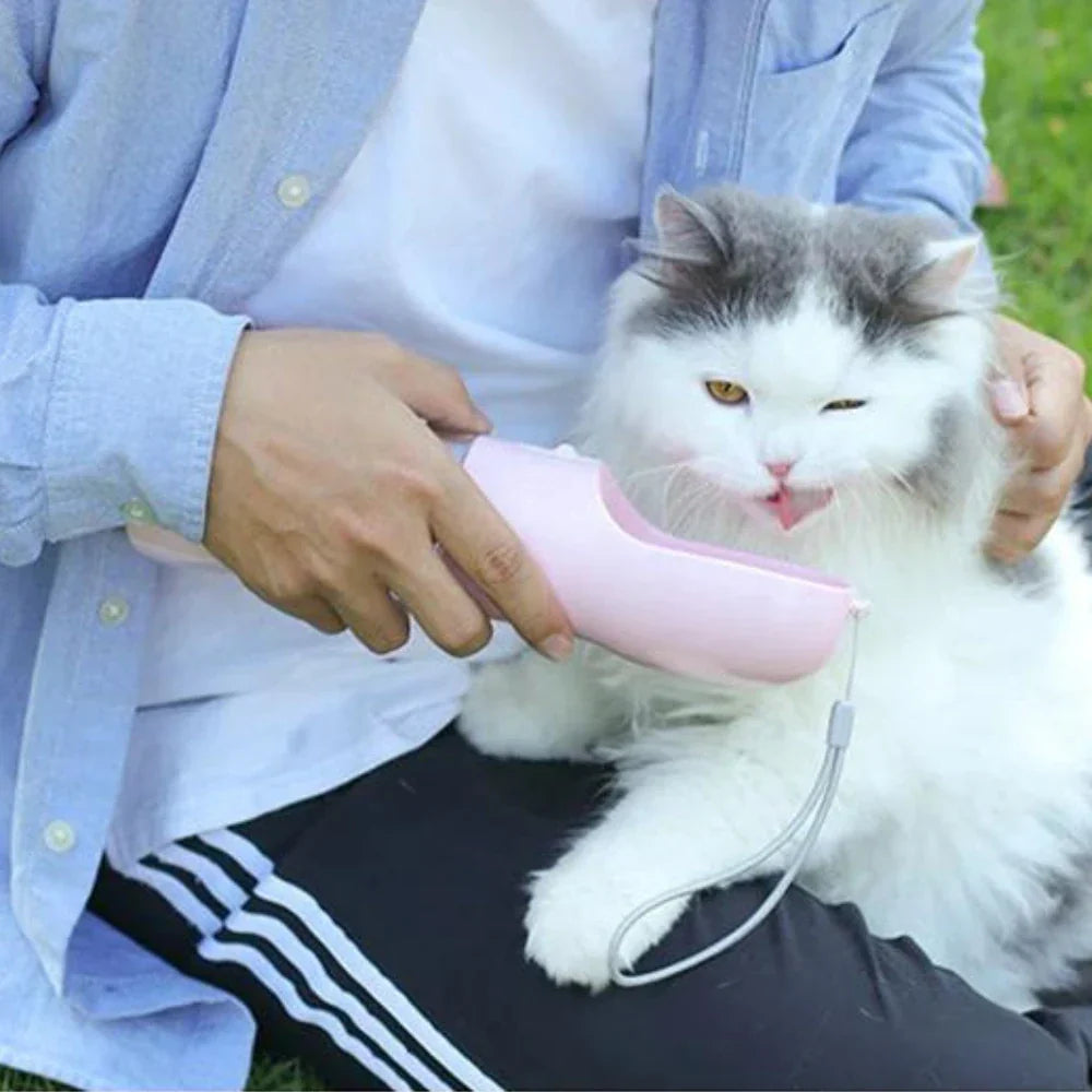 Gourde chat