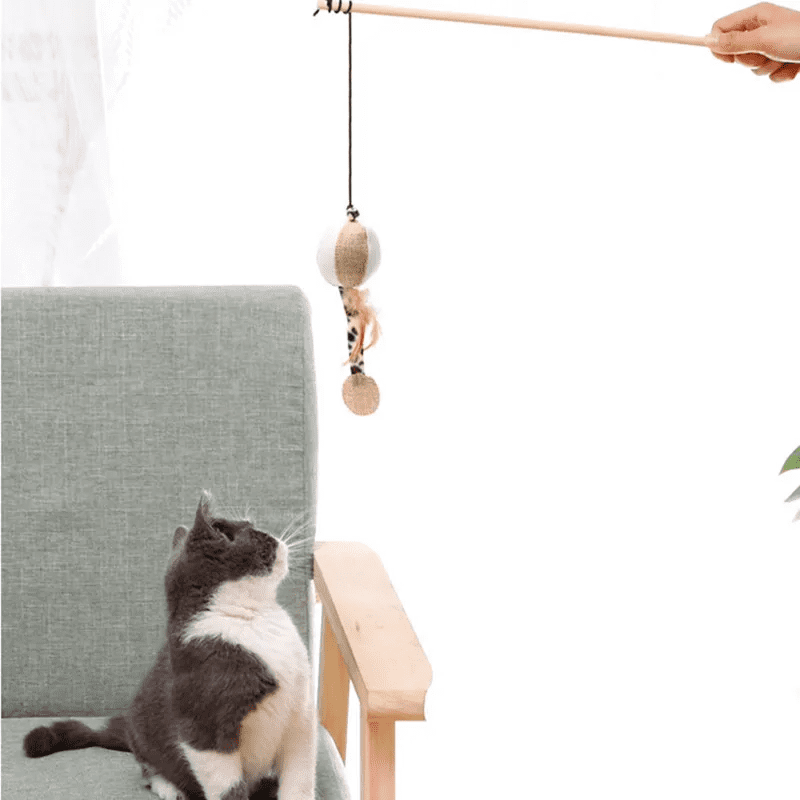 Canne à pêche en bois pour chat