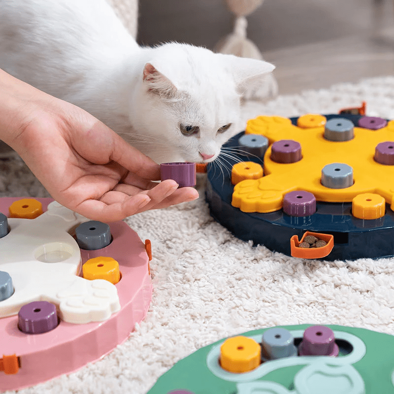 Puzzle anti-glouton interactif pour chien et chat